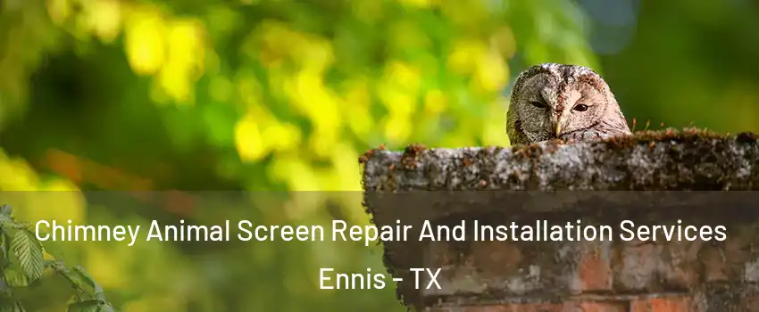  Chimney Animal Screen Repair And Installation Services Ennis - TX