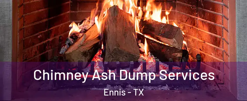  Chimney Ash Dump Services Ennis - TX