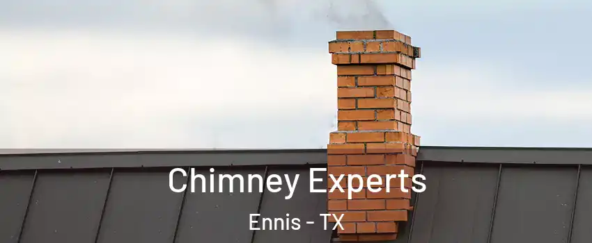  Chimney Experts Ennis - TX
