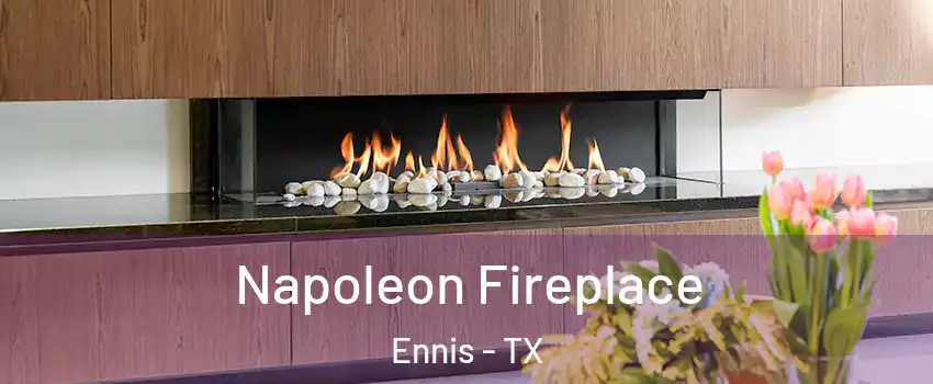  Napoleon Fireplace Ennis - TX